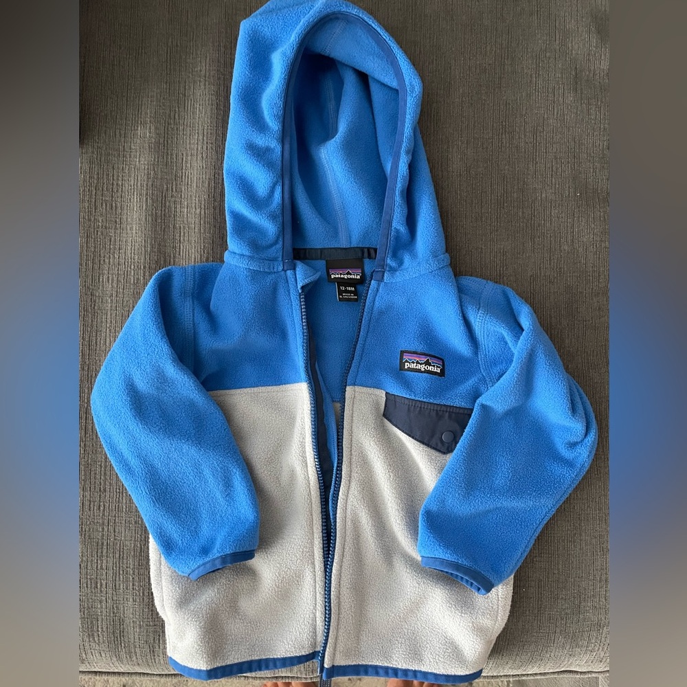 Patagonia Micro D Snap-T Jacket